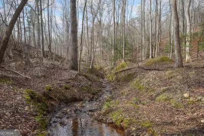49 Old Stamp Mill Road, Dahlonega, GA 30533 - Photo 10