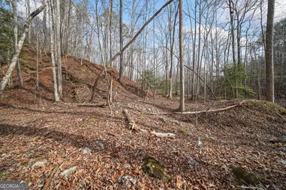 49 Old Stamp Mill Road, Dahlonega, GA 30533 - Photo 12