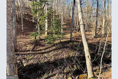 50 Old Stamp Mill Road, Dahlonega, GA 30533 - Photo 2