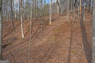 50 Old Stamp Mill Road, Dahlonega, GA 30533 - Photo 12