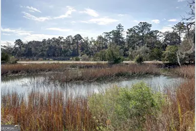 2724 Livingston Avenue, Savannah, GA 31406 - Photo 50