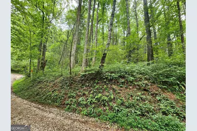 Tract 2B Poplar Cove Trail, Suches, GA 30572 - Photo 2