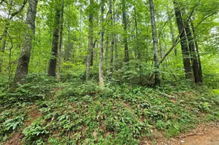 Tract 2A Poplar Cove Trail, Suches, GA 30572 - Photo 1