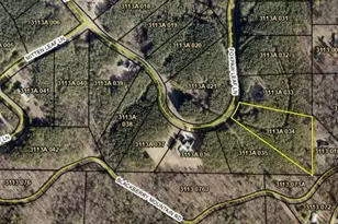 0 Fox Paw Leaf Ln Lot 34, Ellijay, GA 30540 - Photo 1