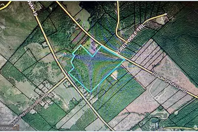 0 Rock Springs Road, Dublin, GA 31021 - Photo 2