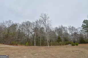 276 Head St, Zebulon, GA 30295 - Photo 8