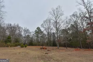 276 Head St, Zebulon, GA 30295 - Photo 10