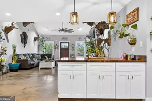 2110 Sullivan Mill Rd, Senoia, GA 30276 - Photo 8