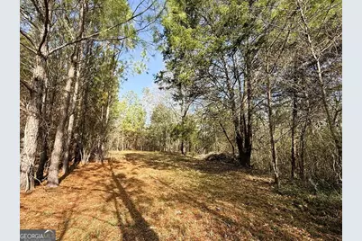 0 Stinchcomb Road, Elberton, GA 30635 - Photo 10