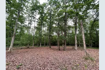 0 Stinchcomb Road, Elberton, GA 30635 - Photo 16