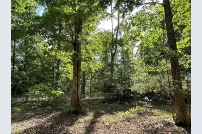 0 Stinchcomb Road, Elberton, GA 30635 - Photo 12