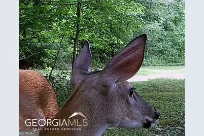 1994 Camp Creek Rd., Lakemont, GA 30552 - Photo 86