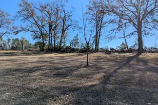 31747 Hwy 23 N St, Collins, GA 30421 - Photo 16