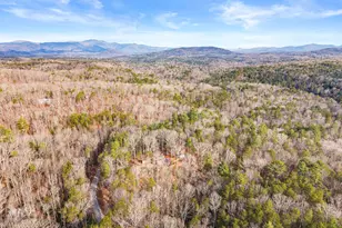 132 Chattahoochee Acres Dr, Cleveland, GA 30528 - Photo 54