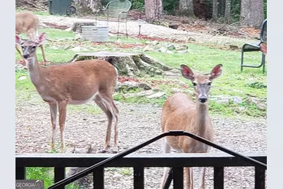 132 Chattahoochee Acres Drive, Cleveland, GA 30528 - Photo 56