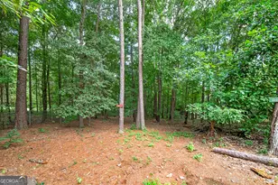 450 Lakeshore Dr, Jackson, GA 30233 - Photo 6