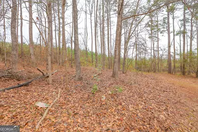 207 N View Pointe Drive, Lagrange, GA 30241 - Photo 62