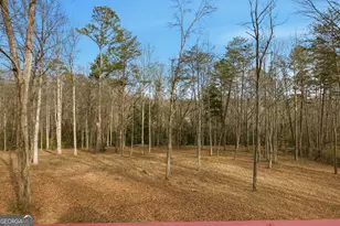 221 Grindstone Creek Dr, Clarkesville, GA 30523 - Photo 4