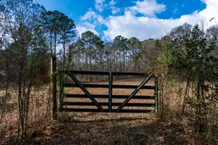 2 83 Acres Williams Rd, Shiloh, GA 31826 - Photo 1