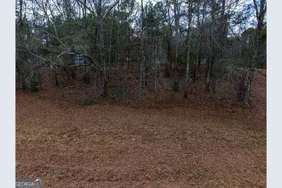 2.83 Acres Williams Road, Shiloh, GA 31826 - Photo 16