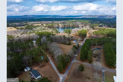 2.83 Acres Williams Road, Shiloh, GA 31826 - Photo 6