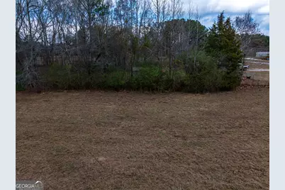 2.83 Acres Williams Road, Shiloh, GA 31826 - Photo 14