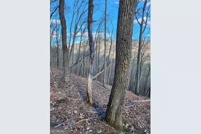 0 Trackrock Gap Road, Blairsville, GA 30514 - Photo 6