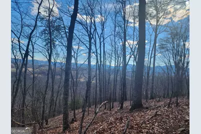 0 Trackrock Gap Road, Blairsville, GA 30514 - Photo 4