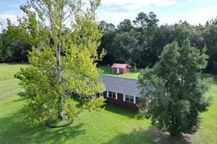 1597 Dairy Rd, Hinesville, GA 31313 - Photo 46