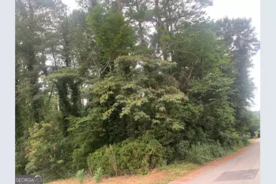 1171 Washington Street, Macon, GA 31204 - Photo 6
