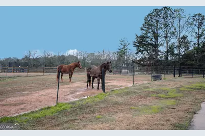 3221 Hollonville Road, Williamson, GA 30292 - Photo 42