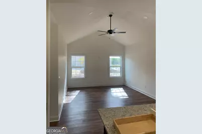 267 Saunders Street S, Pelham, GA 31779 - Photo 4