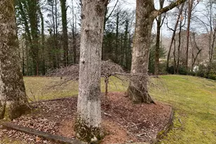 52 Starling Hill Ln, Clayton, GA 30525 - Photo 26