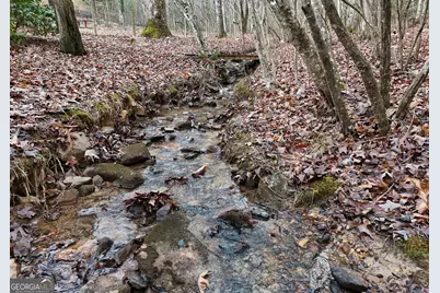 126 Stacy Lane, Blairsville, GA 30512 - Photo 6