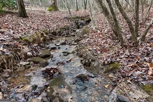 126 Stacy Ln, Blairsville, GA 30512 - Photo 6