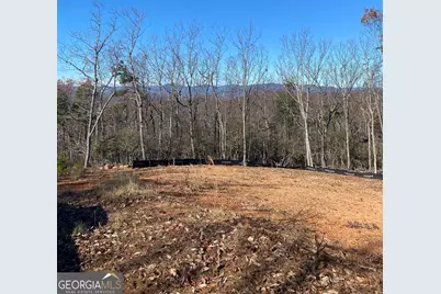 Lot 4 Lake View Drive, Cleveland, GA 30528 - Photo 6