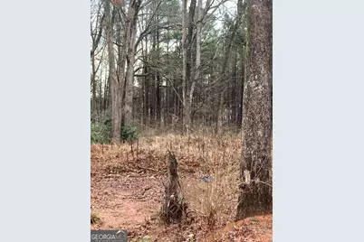 6661 Highway 42 Highway, Rex, GA 30273 - Photo 4