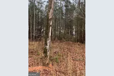 6661 Highway 42 Highway, Rex, GA 30273 - Photo 4