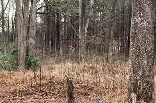 6661 Hwy 42 Hwy, Rex, GA 30273 - Photo 1