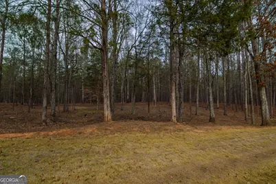 3056 Bentley Drive, Upatoi, GA 31829 - Photo 58