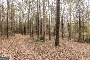 202 Daniel Rd, Thomaston, GA 30286 - Photo 48