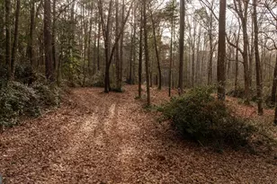 202 Daniel Rd, Thomaston, GA 30286 - Photo 110