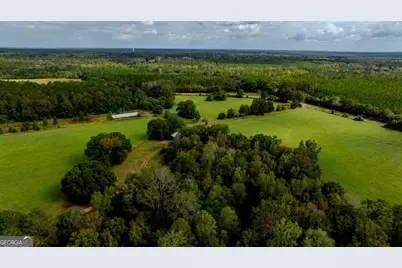 2141 Ebenezer Road, Ellaville, GA 31806 - Photo 46