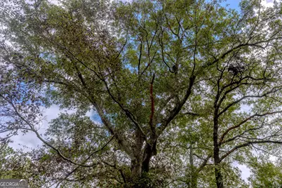 2141 Ebenezer Road, Ellaville, GA 31806 - Photo 20