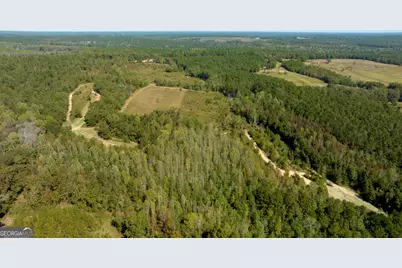 0 Poole Road, Ellaville, GA 31806 - Photo 2