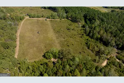 0 Poole Road, Ellaville, GA 31806 - Photo 6