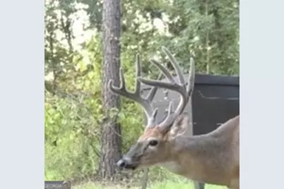 0 Poole Road, Ellaville, GA 31806 - Photo 24