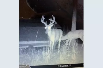 0 Poole Road, Ellaville, GA 31806 - Photo 20