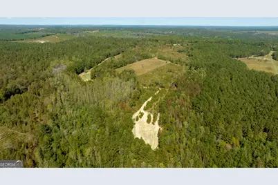 0 Poole Road, Ellaville, GA 31806 - Photo 1