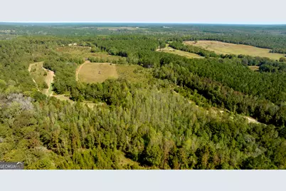 0 Poole Road, Ellaville, GA 31806 - Photo 4